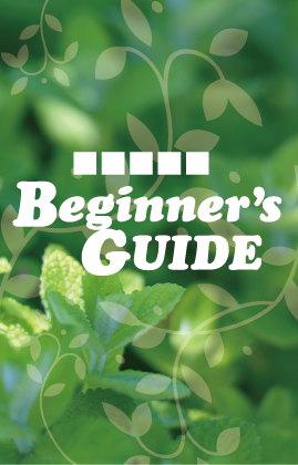 Beginner's GUIDE